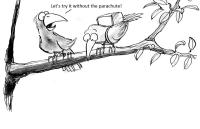 10 best practices to engage your startup mentors